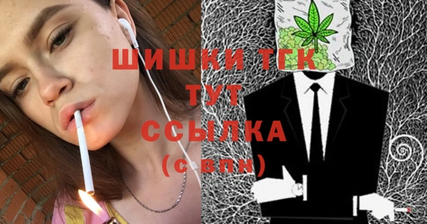 гидропоника Бородино