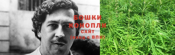 гидропоника Бородино