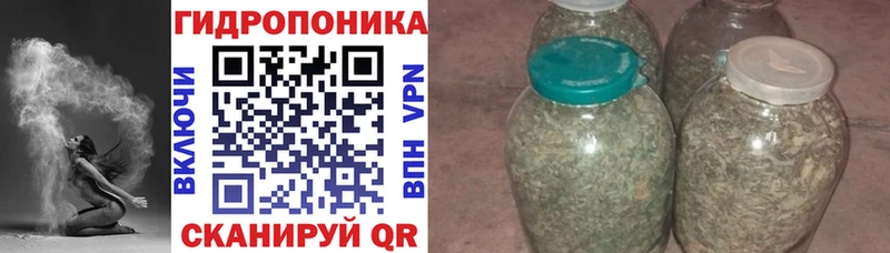 Бошки марихуана Bruce Banner  Дальнегорск 